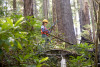 Tree growth and survival: the influence of disturbance and elevation