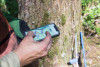 Tree growth and survival: the influence of disturbance and elevation
