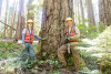 Tree growth and survival: the influence of disturbance and elevation