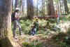 Tree growth and survival: the influence of disturbance and elevation