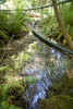 Drought dewatering experiment 2022