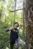 Bird population study and bird banding