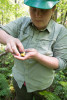 Bird population study and bird banding