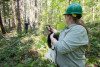 Bird population study and bird banding