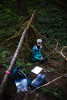 Bird population study and bird banding