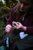 Bird population study and bird banding