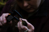 Bird population study and bird banding