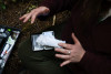 Bird population study and bird banding