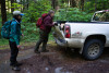Bird population study and bird banding