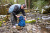 Lookout Creek isotope sampling