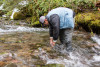 Lookout Creek isotope sampling
