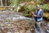 Lookout Creek isotope sampling