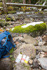 Lookout Creek isotope sampling