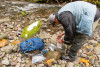 Lookout Creek isotope sampling
