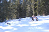 Vanilla Leaf Meadow during April 2008 snow event