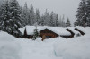 HJA headquarters during April 2008 snow event