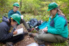 Bird Banding Spring 2023