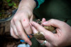 Bird Banding Spring 2023