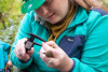 Bird Banding Spring 2023