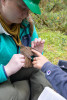 Bird Banding Spring 2023