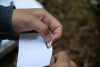 Bird Banding Spring 2023
