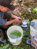 Drought Experiment 2023
