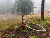 Lookout Fire 2023 headquarters