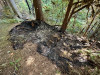 Lookout Fire 2023