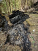 Lookout Fire 2023