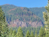 Lookout Fire 2023