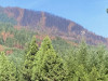 Lookout Fire 2023