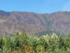Lookout Fire 2023
