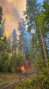 Lookout Fire 2023