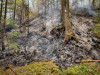 Lookout Fire 2023