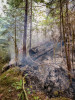 Lookout Fire 2023
