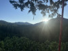 Canopy Sunrise
