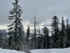 Early spring snow