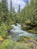 Lookout Creek