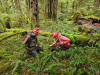 Pyrogenic Carbon Sampling Spring 2024