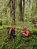 Pyrogenic Carbon Sampling Spring 2024