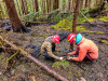 Pyrogenic Carbon Sampling Spring 2024