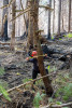 Pyrogenic Carbon Sampling Spring 2024