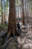 Pyrogenic Carbon Sampling Spring 2024