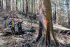 Pyrogenic Carbon Sampling Spring 2024