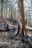 Pyrogenic Carbon Sampling Spring 2024