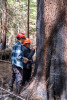 Pyrogenic Carbon Sampling Spring 2024