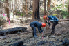 Pyrogenic Carbon Sampling Spring 2024