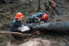 Pyrogenic Carbon Sampling Spring 2024