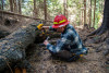 Pyrogenic Carbon Sampling Spring 2024
