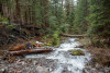 Stream Ecology Spring 2024